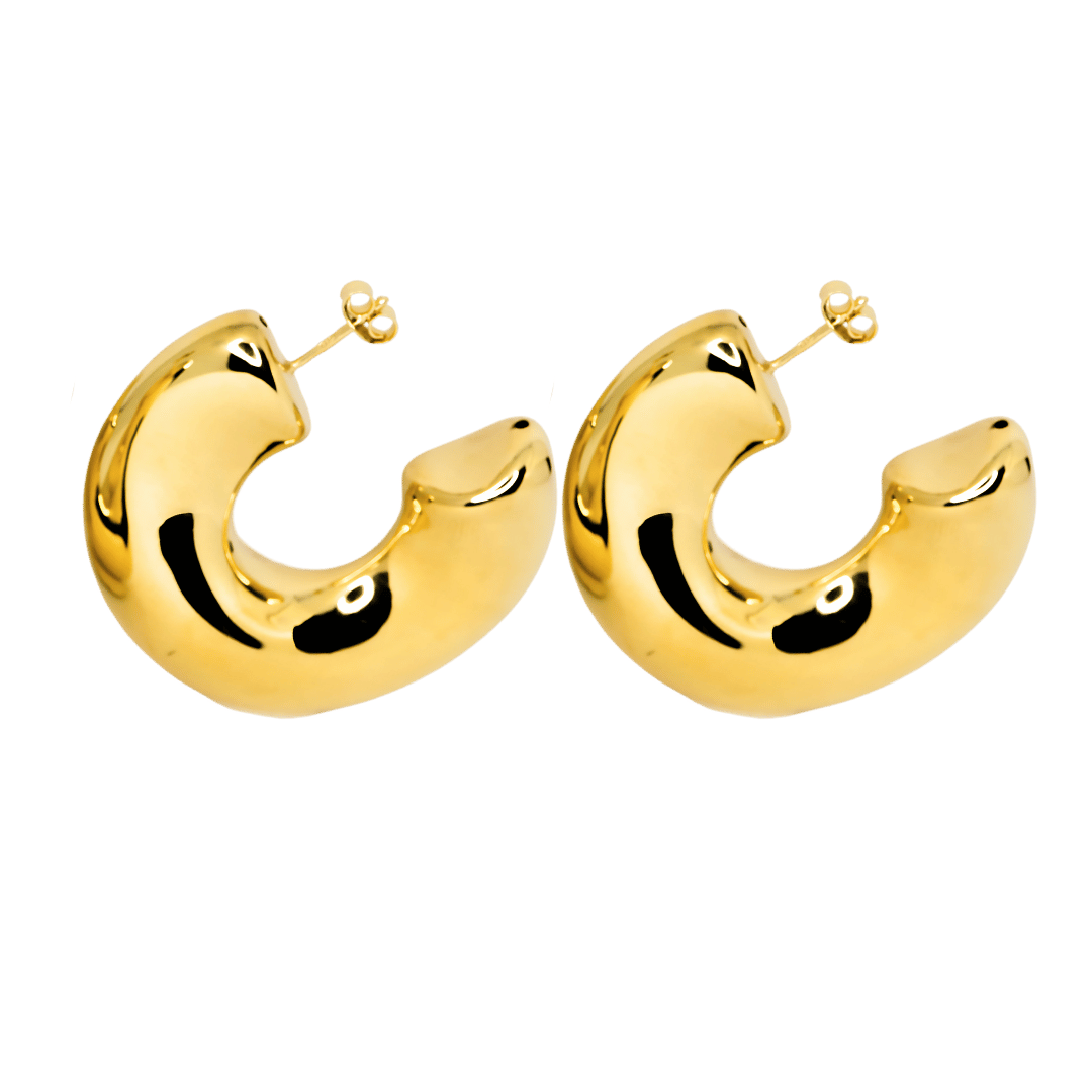 Sculpt design earrings in 925 silver